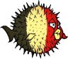 Belgian Blowfish