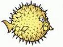 OpenBSD Logo