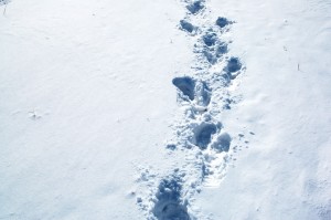 Footprints