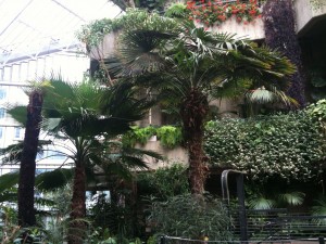 The Barbican Center Garden