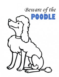 Poodle